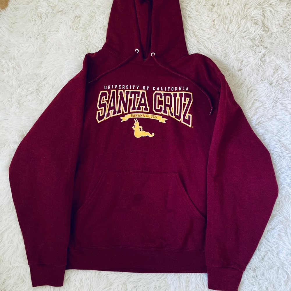 UC Santa Cruz College Merch Hoodie